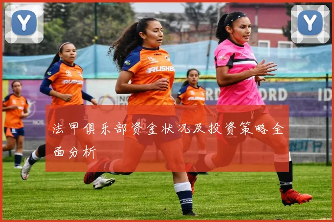 法甲俱乐部资金状况及投资策略全面分析