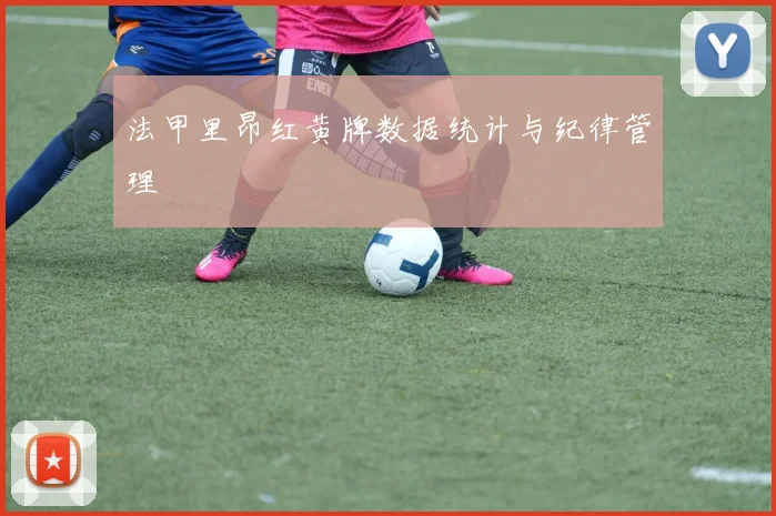 法甲里昂红黄牌数据统计与纪律管理